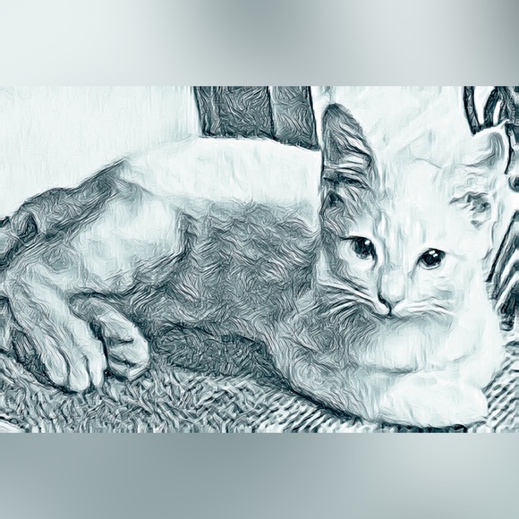 Budenn - Picture 3 of 5